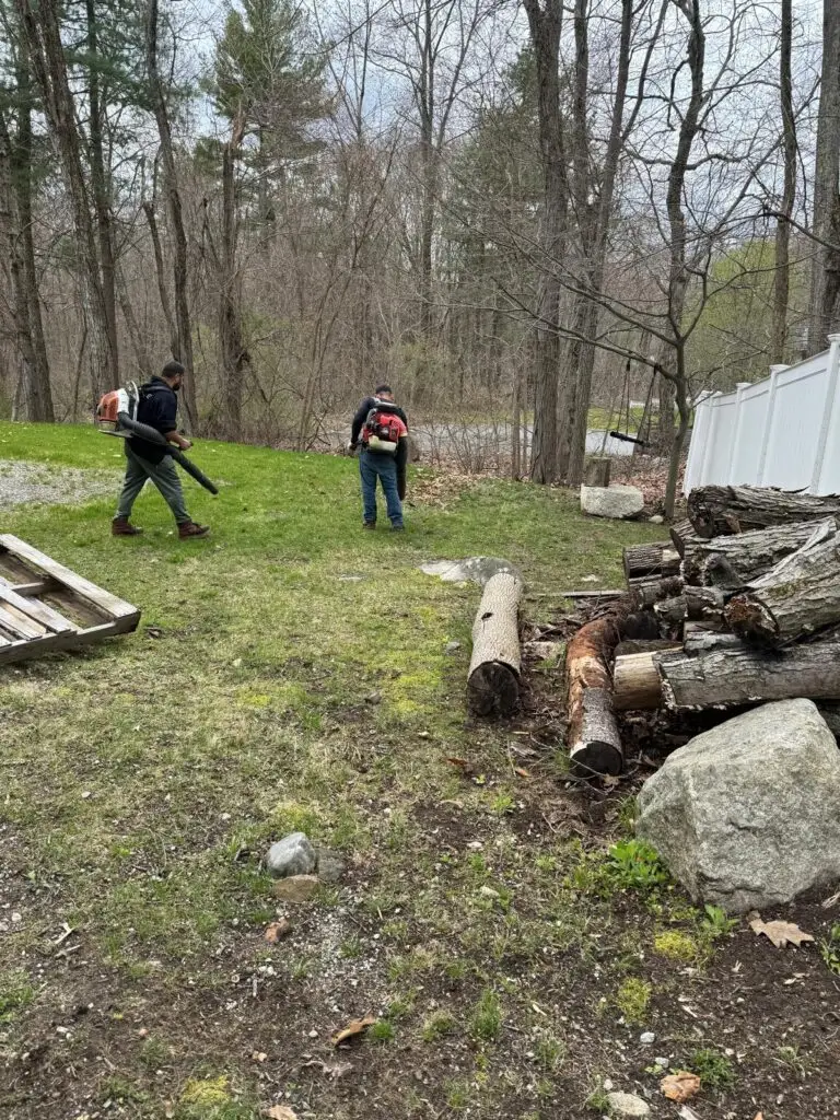 Two GMX Tree Services crew members clearing leaves and debris beside a log pile in Milford, MA