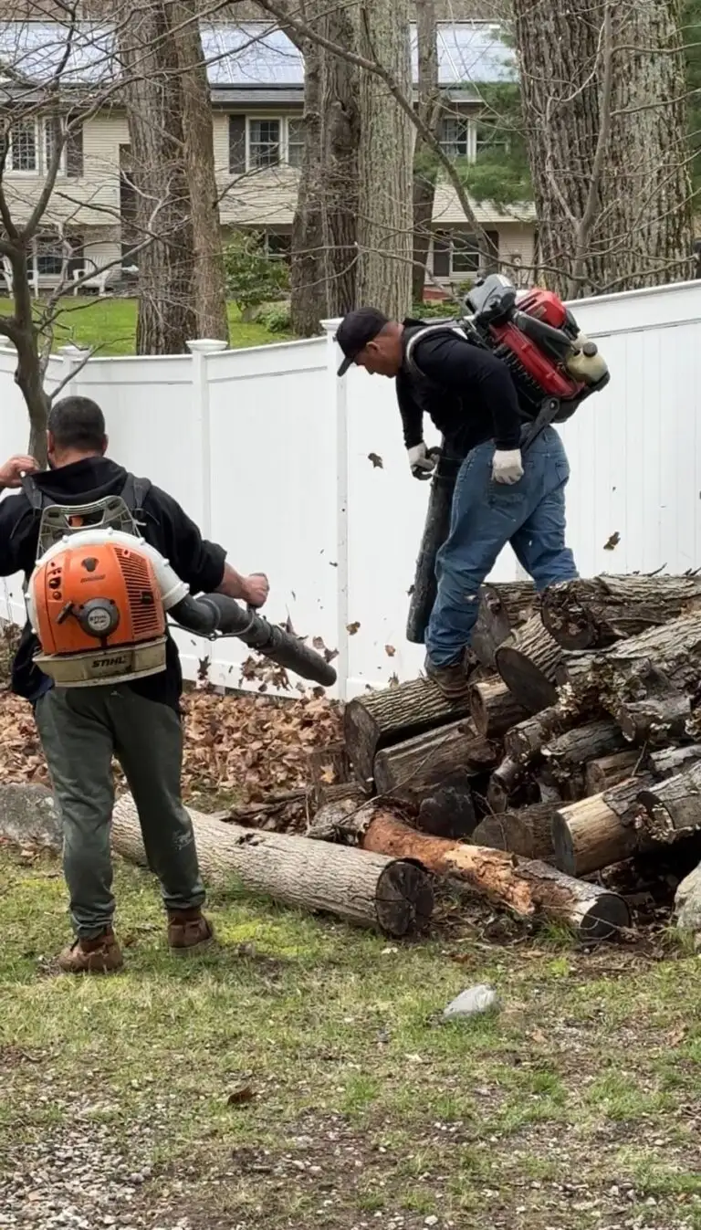 GMX Tree Services crew clearing logs and debris from a residential yard in Milford, MA