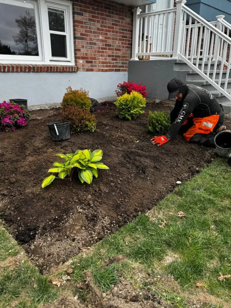 Garden bed being replanted and prepared for mulch at a brick home in Milford, MA by GMX Tree Services