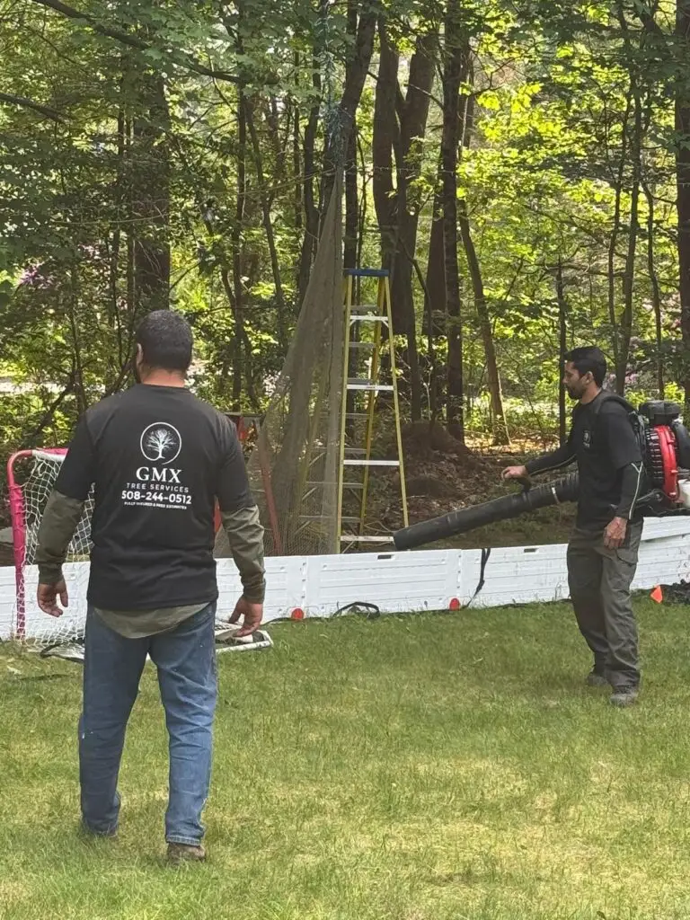 GMX Tree Services crew member blowing debris off a lawn during a yard clean up in Milford, MA