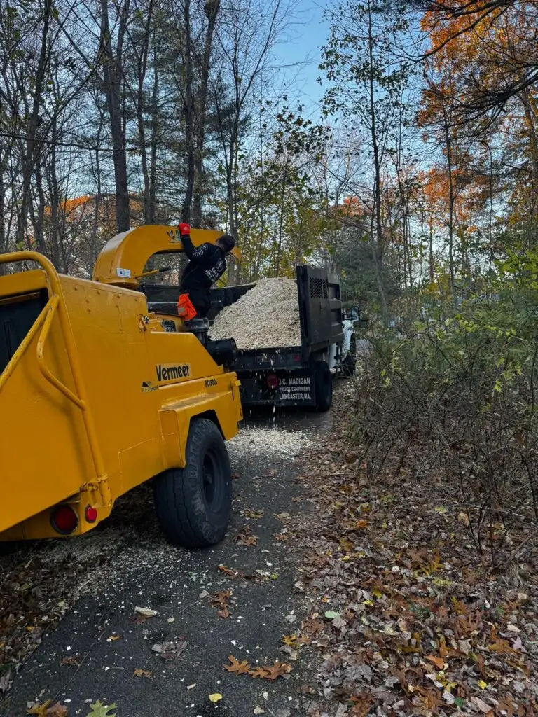 GMX Tree Services wood chipper and truck on site for debris removal in Milford, MA