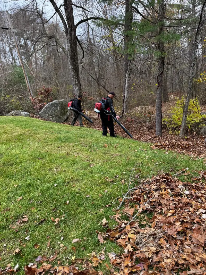 GMX Tree Services crew clearing fallen leaves from a sloped yard with backpack blowers in Milford, MA