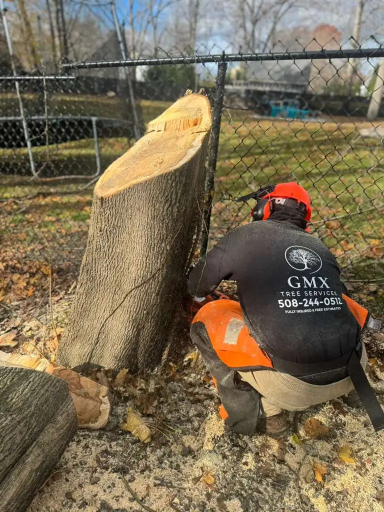 GMX Tree Services equipment and crew