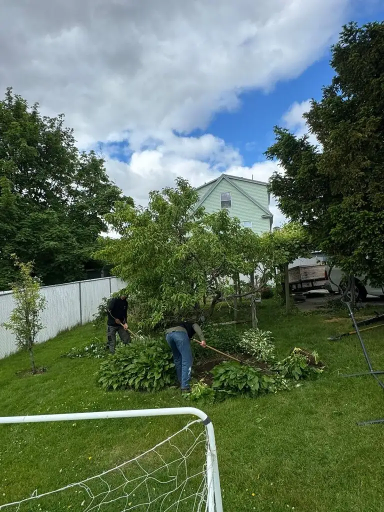 GMX Tree Services crew weeding and clearing a garden bed before mulching in Milford, MA