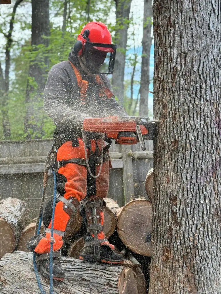 GMX Tree Services crew working on a local property
