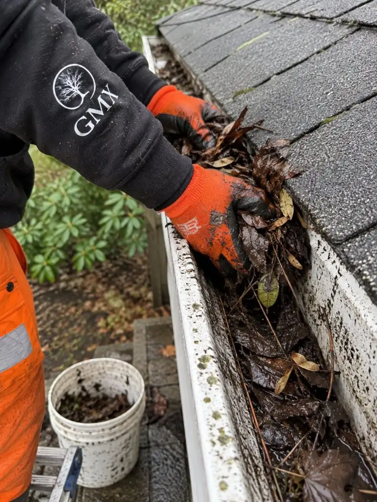 GMX crew member pulling packed wet leaves out of a gutter by hand in Milford, MA