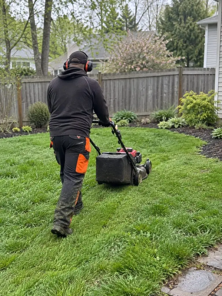 Mowing a fenced backyard lawn beside mulched garden beds in Milford, MA