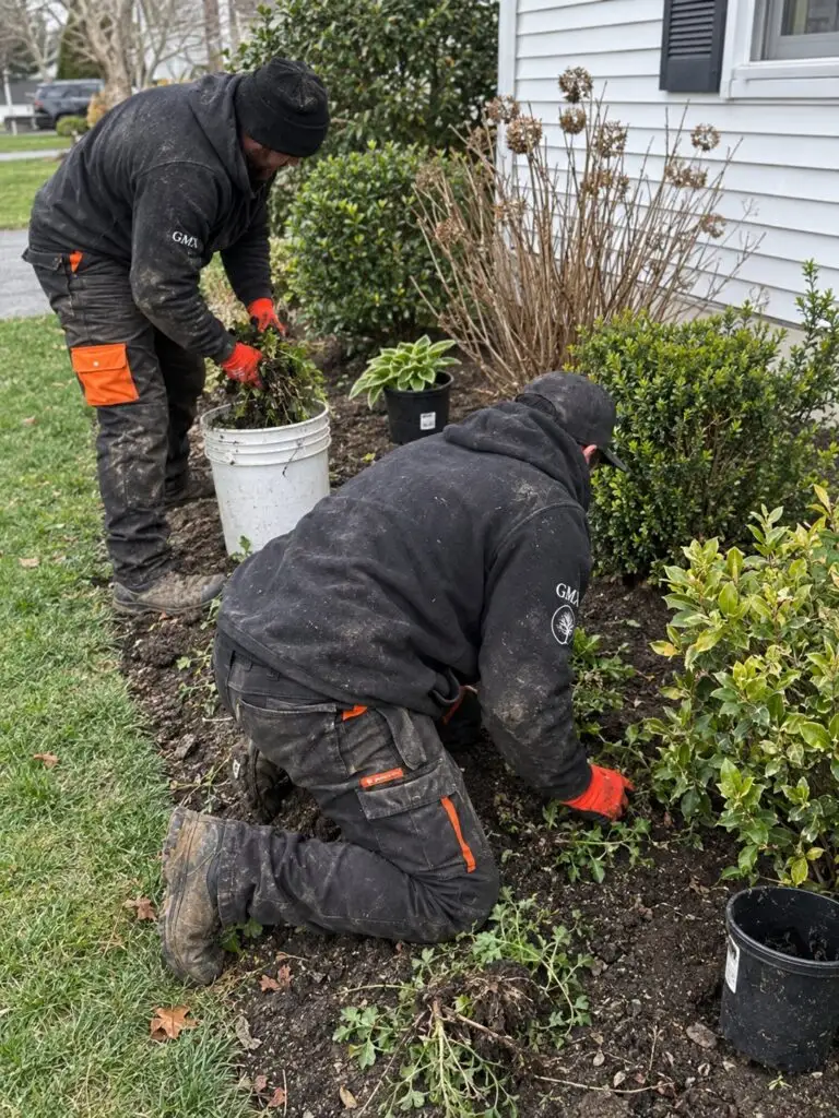 Two GMX crew members clearing weeds from a planting bed beside a home in Milford, MA