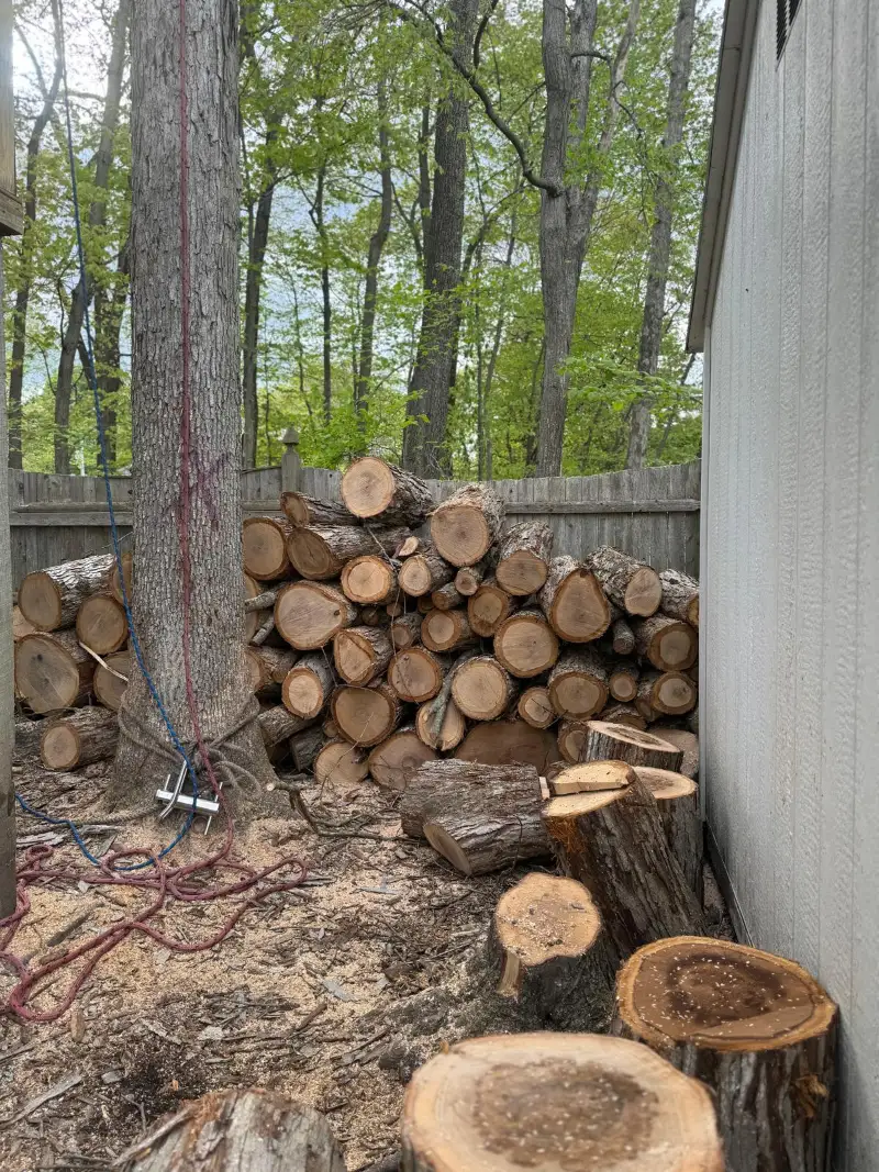 Tree trunk sections cut and stacked beside a house after a GMX Tree Services removal in Milford, MA