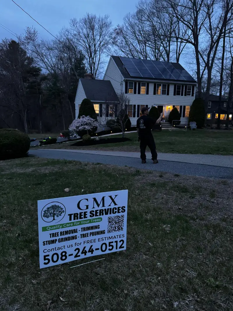 GMX Tree Services yard sign at a residential property in Milford, MA